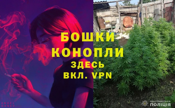 мяу мяу мука Балабаново