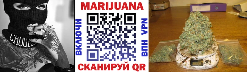 Каннабис планчик  Купить закладки  Выборг 